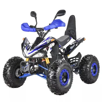 2023 mai Nou Model din Seria Professional Motocicleta Atv 800W-1500W 4 Wheeler Adult Electric ATV-uri